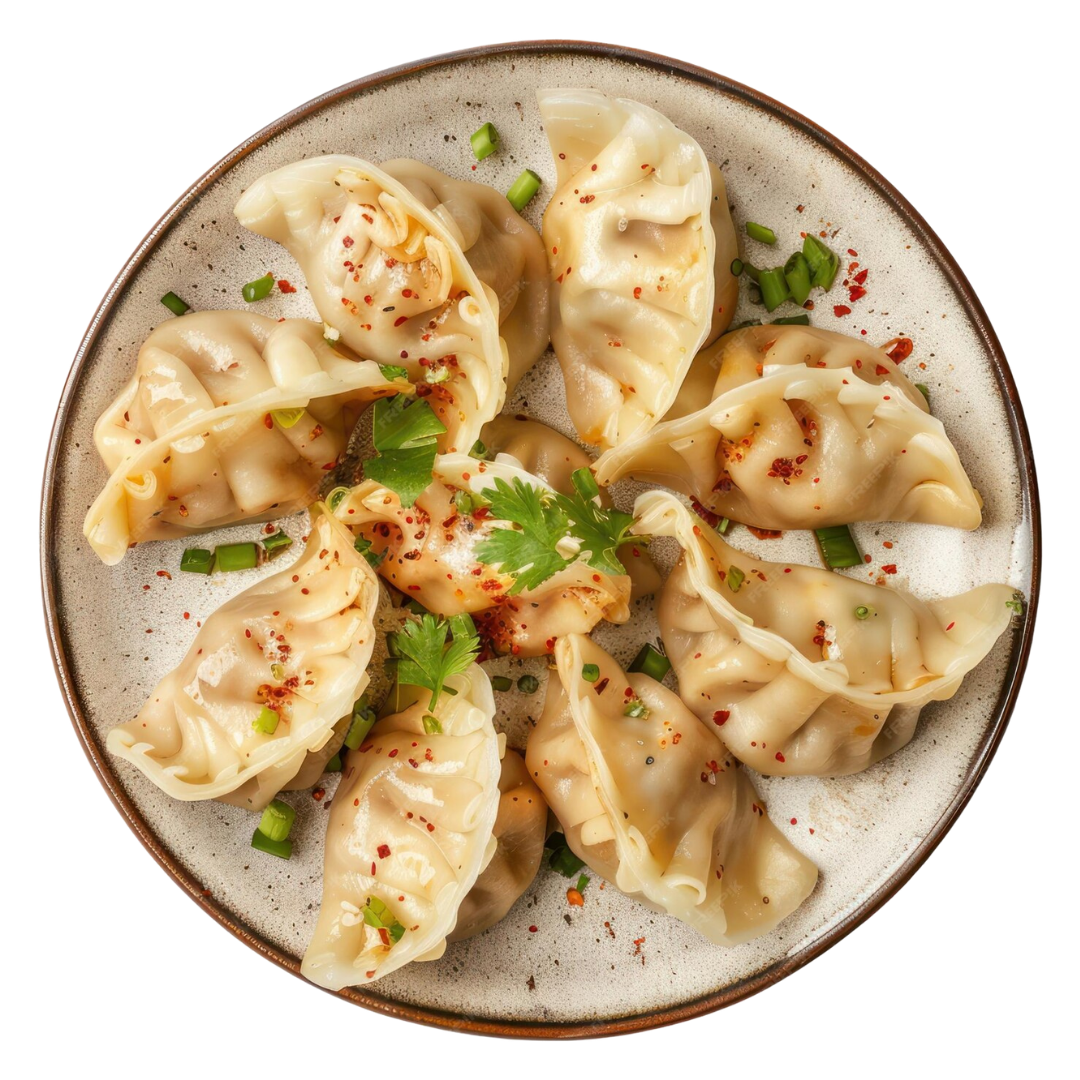 Pork Dumplings Appetizers